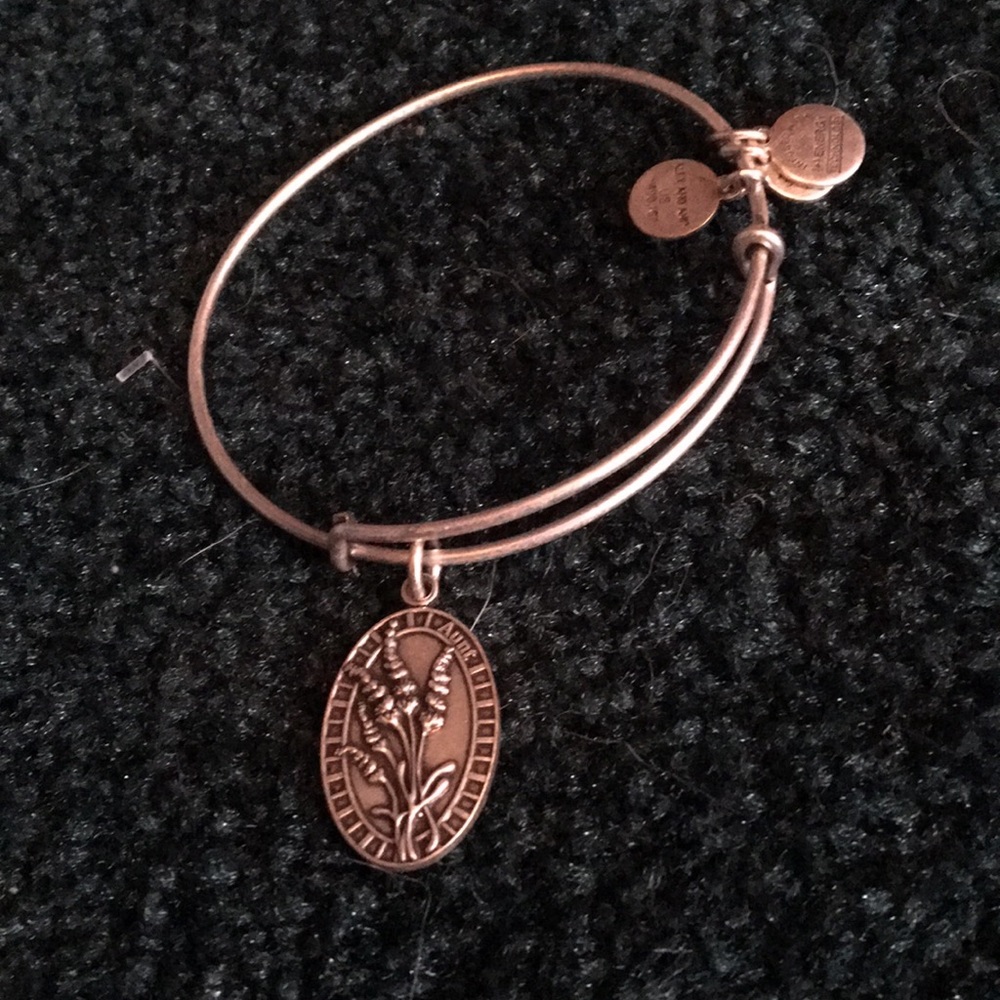 Alex and ani bracelet